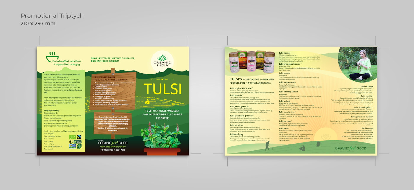 Triptych Brochure | OFG